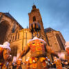 Photo de Binche sur toile 90x60 cm tirage limité – Image 26
