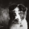 Bon cadeau mini session – Image 6