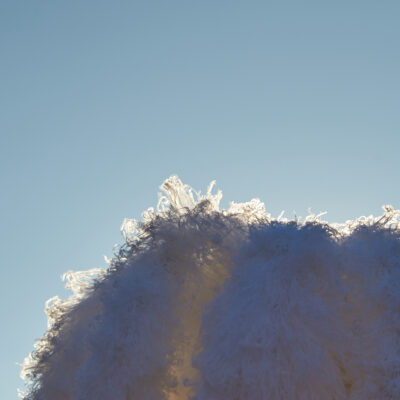 chapeau de plumes d'autruche du gille de Binche dans le soleil